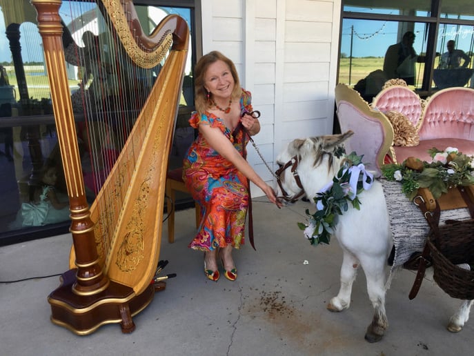 Gallery photo 10 of Harp Music By Laurel