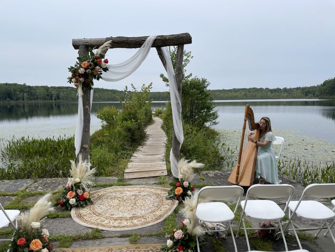 Gallery photo 3 of Harp Music for All Occasions