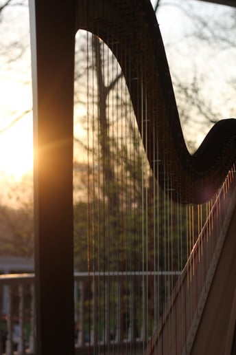 Gallery photo 5 of Harp Music for Special Events