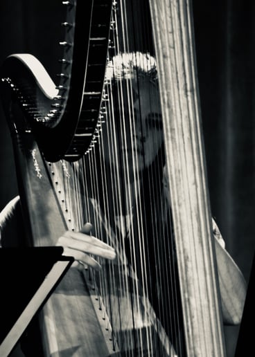 Gallery photo 2 of Harp Music for Special Events