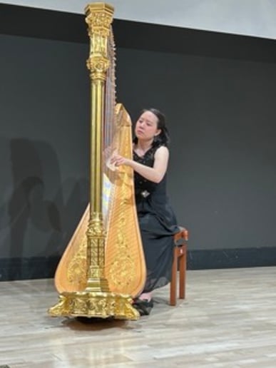 Gallery photo 5 of Harp Music