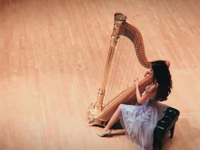 Gallery photo 1 of Beste Toparlak, Harpist