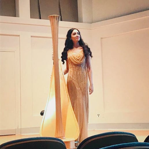 Gallery photo 2 of Beste Toparlak, Harpist