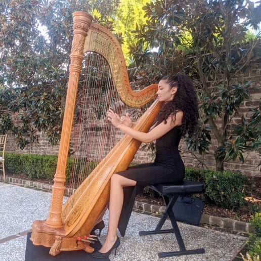 Gallery photo 4 of Beste Toparlak, Harpist