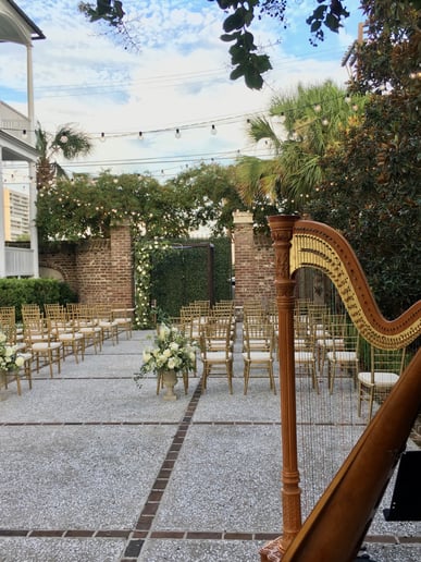 Gallery photo 5 of Beste Toparlak, Harpist