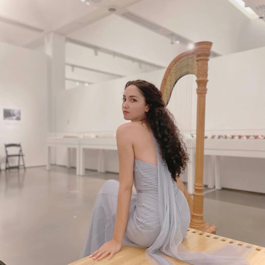Gallery photo 7 of Beste Toparlak, Harpist