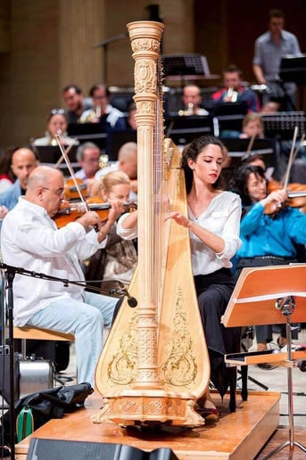 Gallery photo 8 of Beste Toparlak, Harpist
