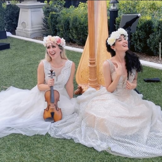 Gallery photo 9 of Beste Toparlak, Harpist