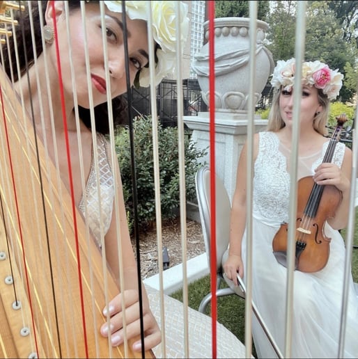 Gallery photo 10 of Beste Toparlak, Harpist