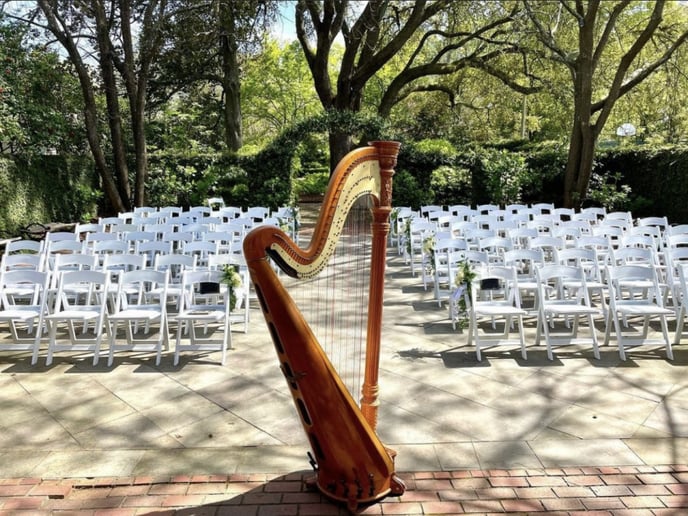 Gallery photo 13 of Beste Toparlak, Harpist