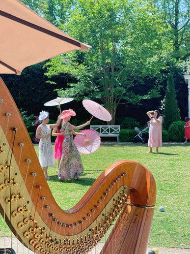 Gallery photo 14 of Beste Toparlak, Harpist