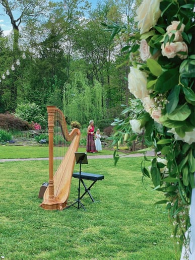 Gallery photo 15 of Beste Toparlak, Harpist