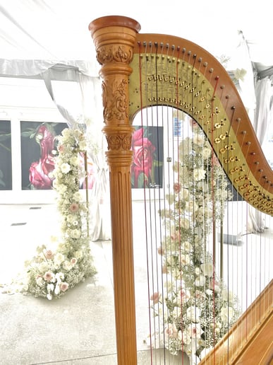 Gallery photo 16 of Beste Toparlak, Harpist