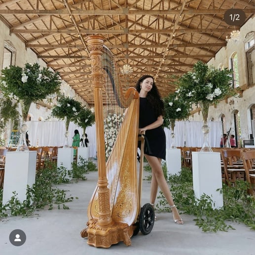Gallery photo 17 of Beste Toparlak, Harpist