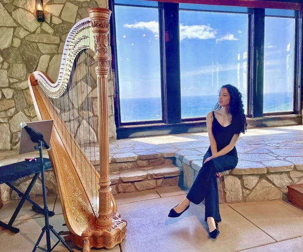 Gallery photo 20 of Beste Toparlak, Harpist
