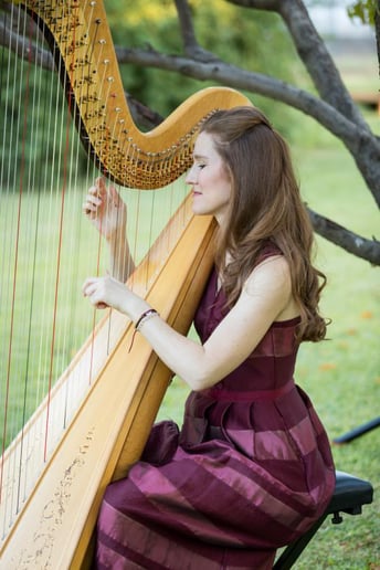 Gallery photo 4 of Harp Royale