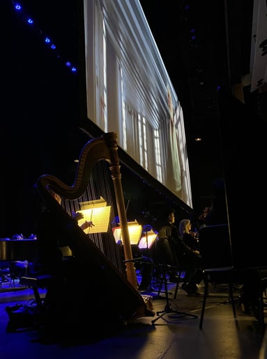 Gallery photo 7 of Harp Royale