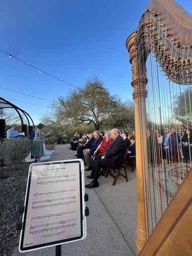Gallery photo 8 of Harp Royale