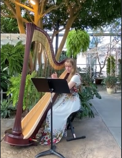 Gallery photo 4 of Harp Serenity Serenades