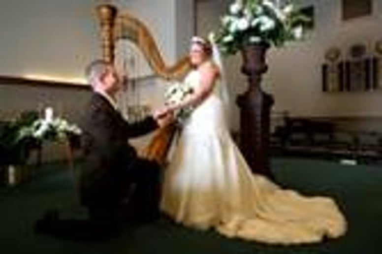 Gallery photo 2 of Harp to Harp