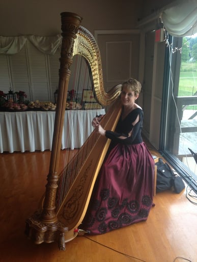 Gallery photo 3 of Harp to Harp