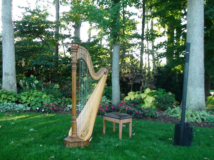 Gallery photo 4 of Harp to Harp