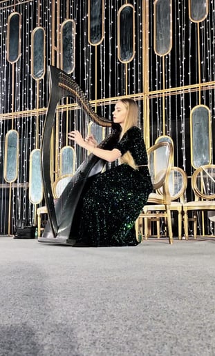 Gallery photo 7 of Harp to Heart