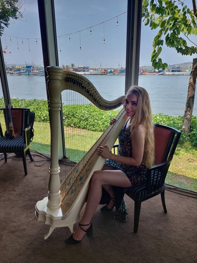 Gallery photo 8 of Harp to Heart