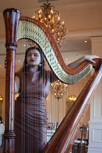 Gallery photo 5 of Iliana Yare