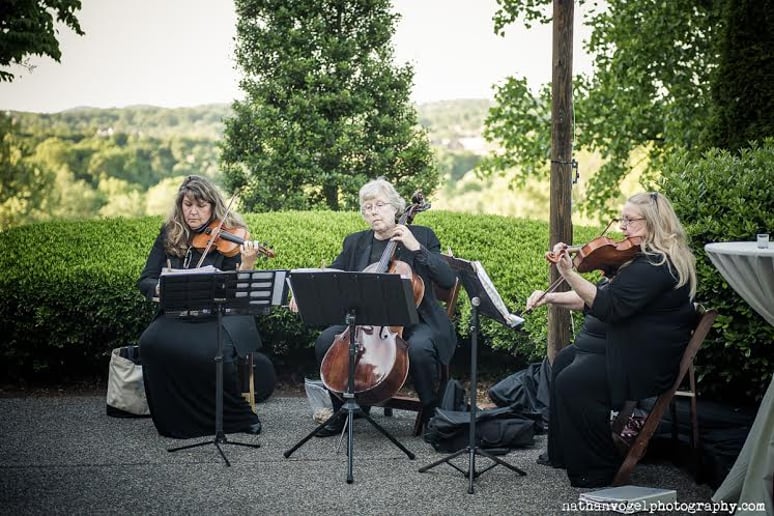 Gallery photo 2 of Harpeth Trio