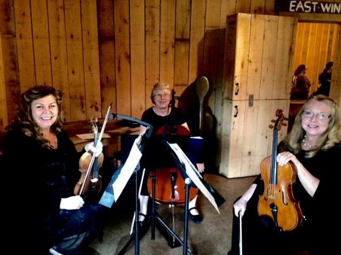 Gallery photo 3 of Harpeth Trio