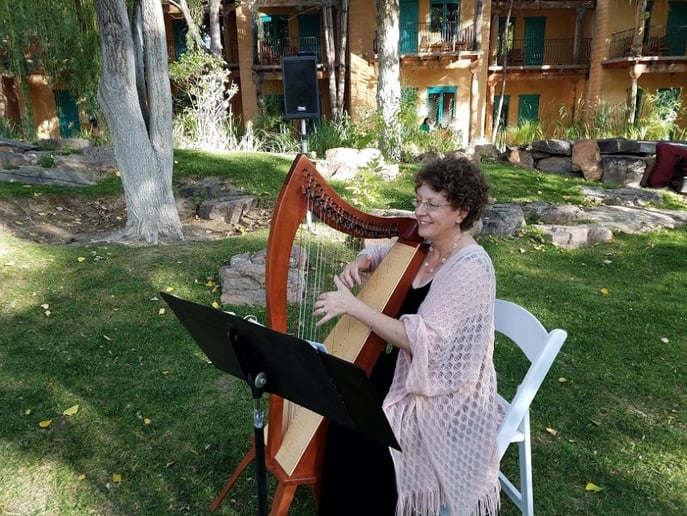 Gallery photo 6 of Harpist-Miriam Shilling