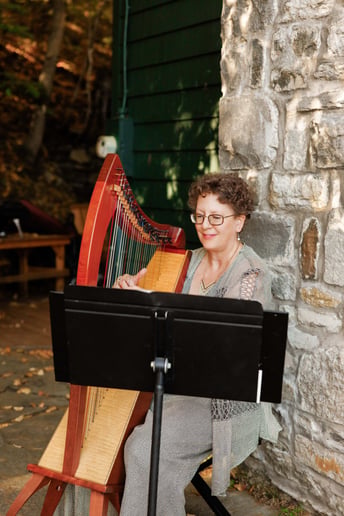 Gallery photo 7 of Harpist-Miriam Shilling