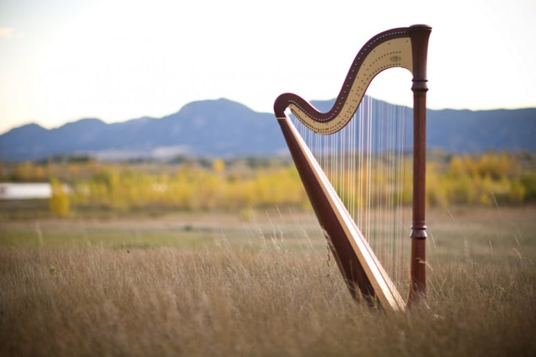 Gallery photo 2 of Harpist - Mary Keener