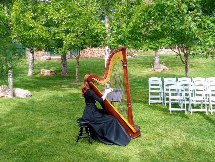 Gallery photo 1 of Harpist - Mary Keener