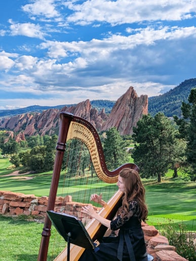 Gallery photo 7 of Harpist - Mary Keener