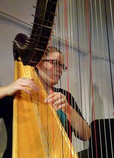 Gallery photo 2 of Harpist Alyson Webber