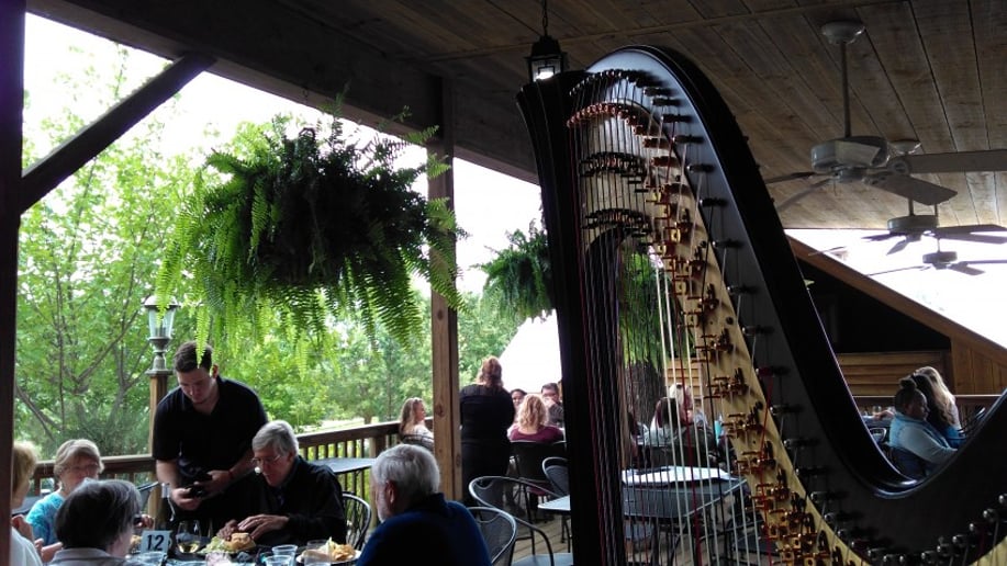 Gallery photo 6 of Harpist Alyson Webber