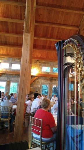 Gallery photo 7 of Harpist Alyson Webber