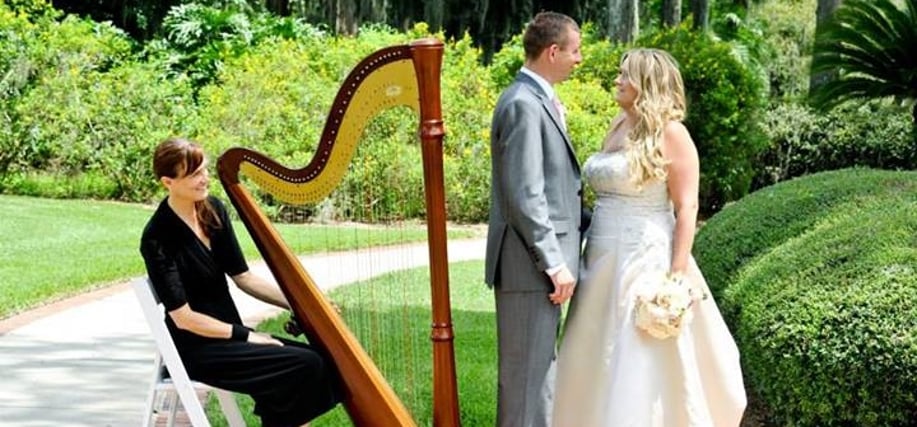 Gallery photo 3 of Harpist Christine MacPhail