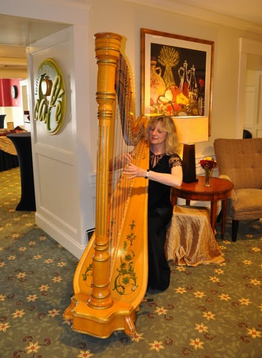 Gallery photo 1 of Harpist for all Occasions
