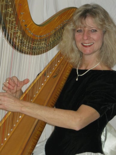 Gallery photo 2 of Harpist for all Occasions
