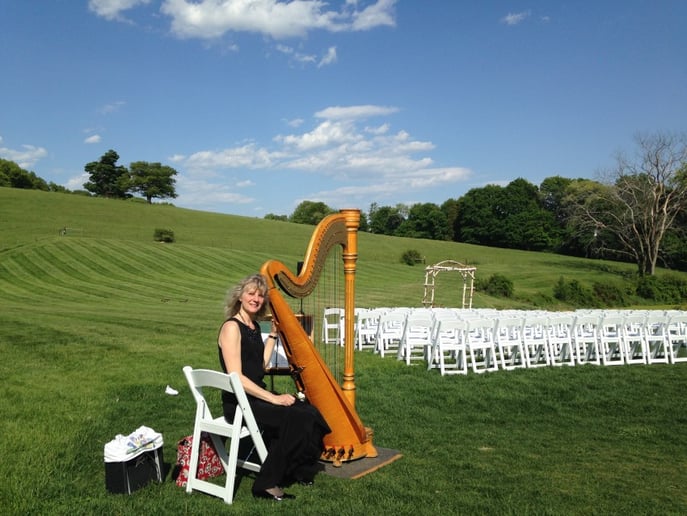 Gallery photo 4 of Harpist for all Occasions