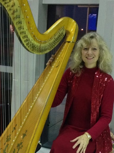 Gallery photo 5 of Harpist for all Occasions