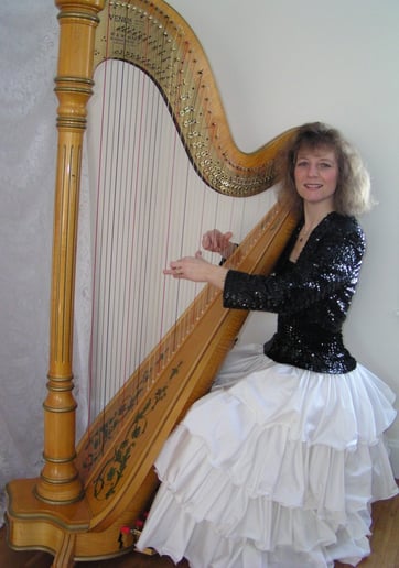 Gallery photo 6 of Harpist for all Occasions
