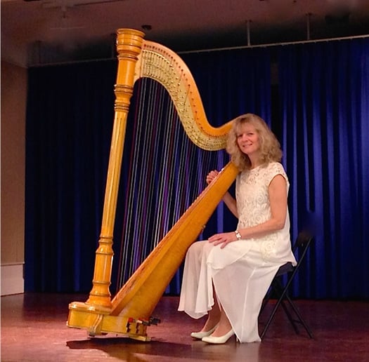 Gallery photo 7 of Harpist for all Occasions