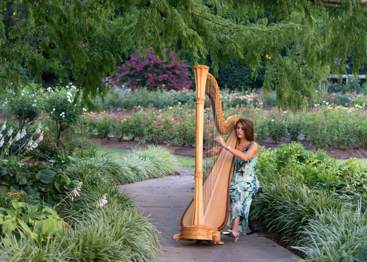 Gallery photo 1 of Harpist for all Occasions