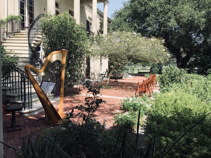 Gallery photo 2 of Harpist for all Occasions