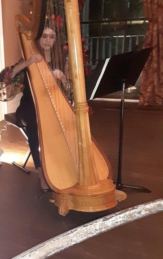 Gallery photo 3 of Harpist for all Occasions
