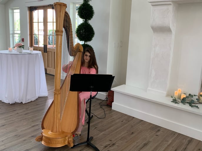Gallery photo 6 of Harpist for all Occasions